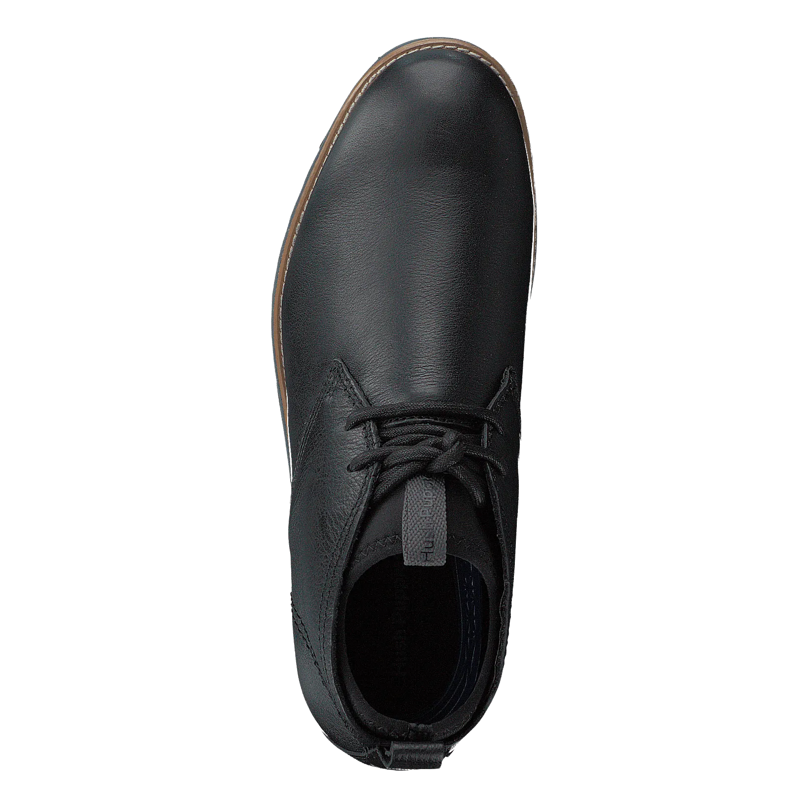 Active Expert Black