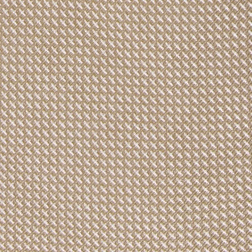 Bhldn Union Solid Light Champagne Tie