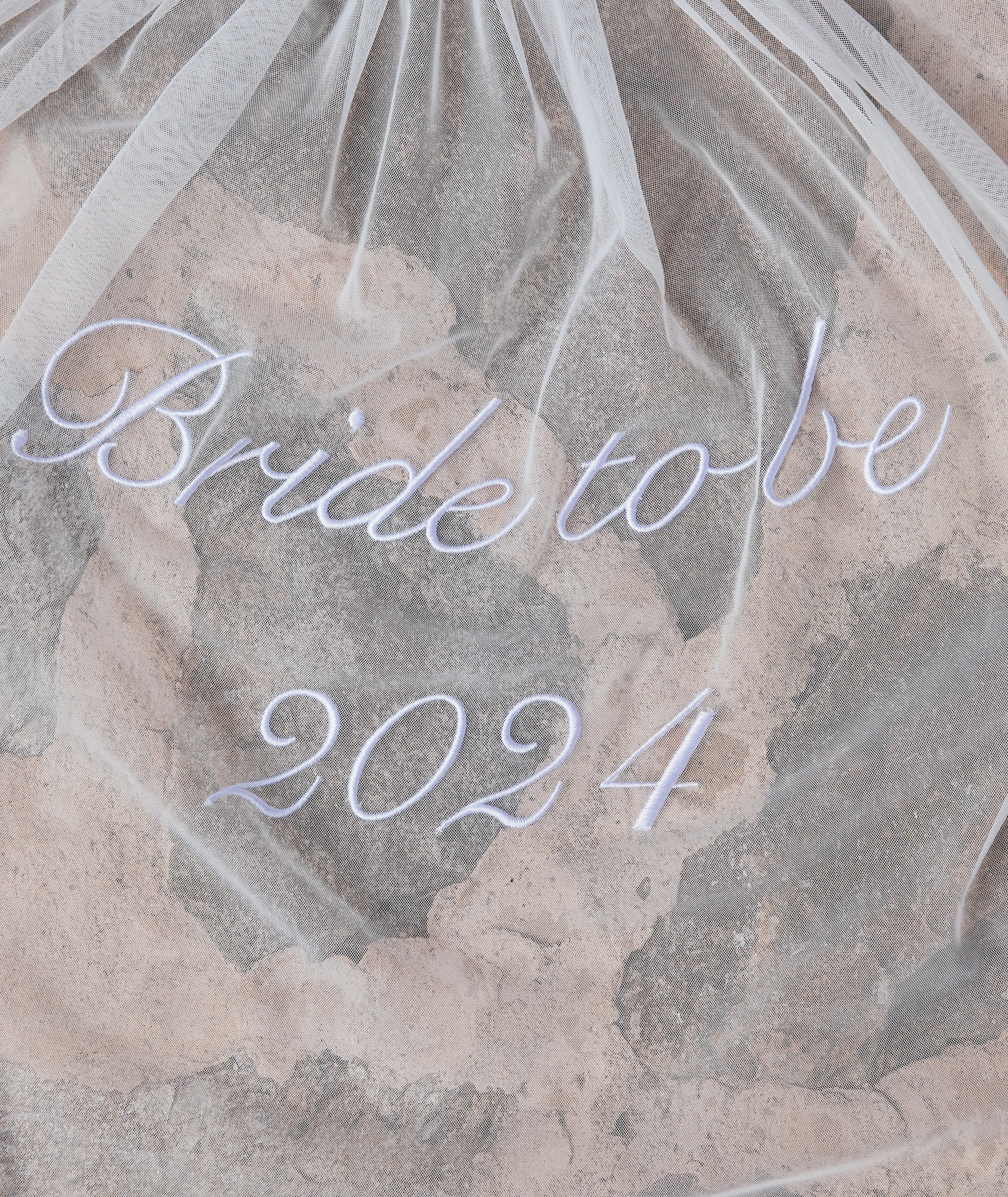 Bride To Be 2024 Tulle Veil