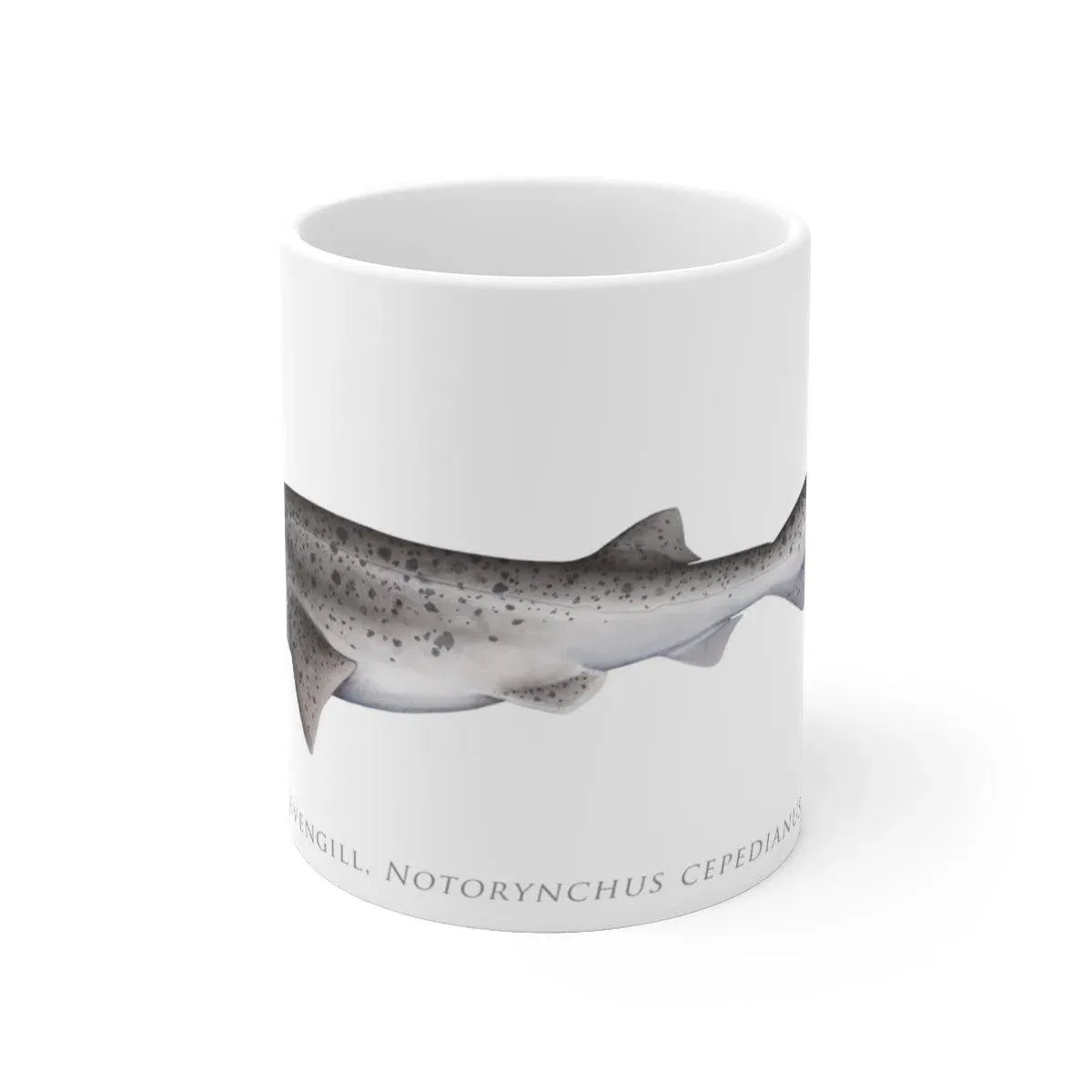 Broadnose Sevengill Shark Mug