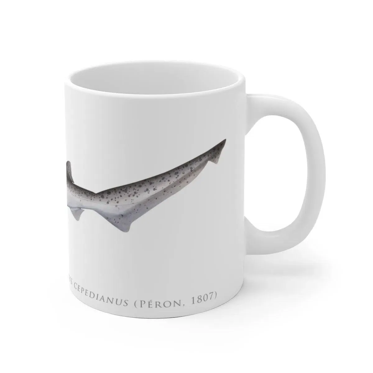 Broadnose Sevengill Shark Mug