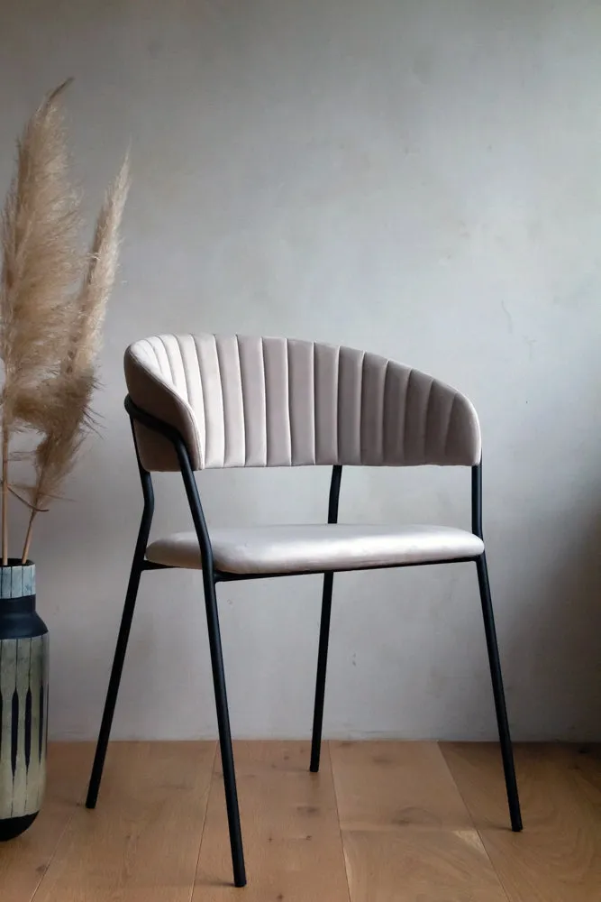 Curved Back Velvet Dining Chair In Mink Grey