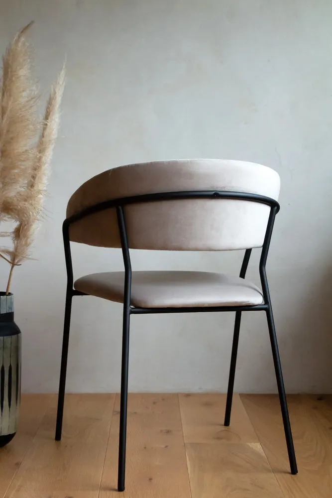 Curved Back Velvet Dining Chair In Mink Grey