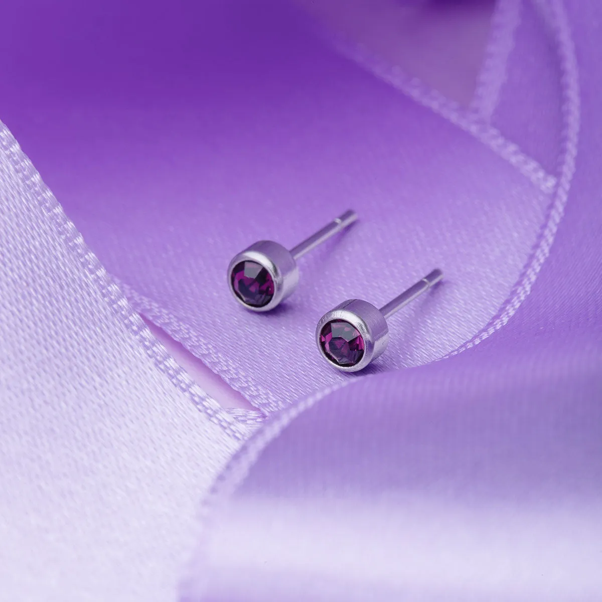 February Birthstone Stainless Steel Earrings