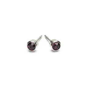 February Birthstone Stainless Steel Earrings