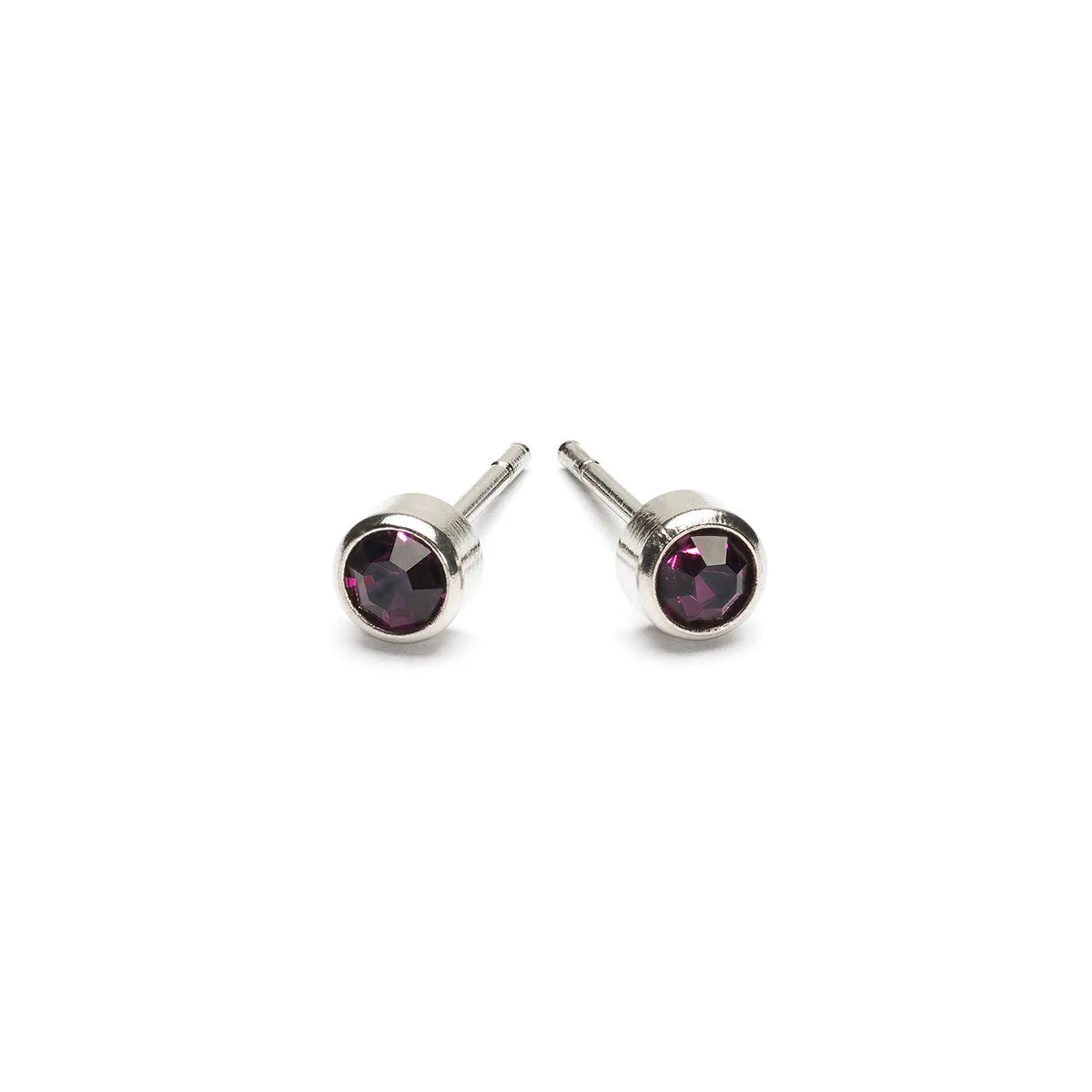 February Birthstone Stainless Steel Earrings