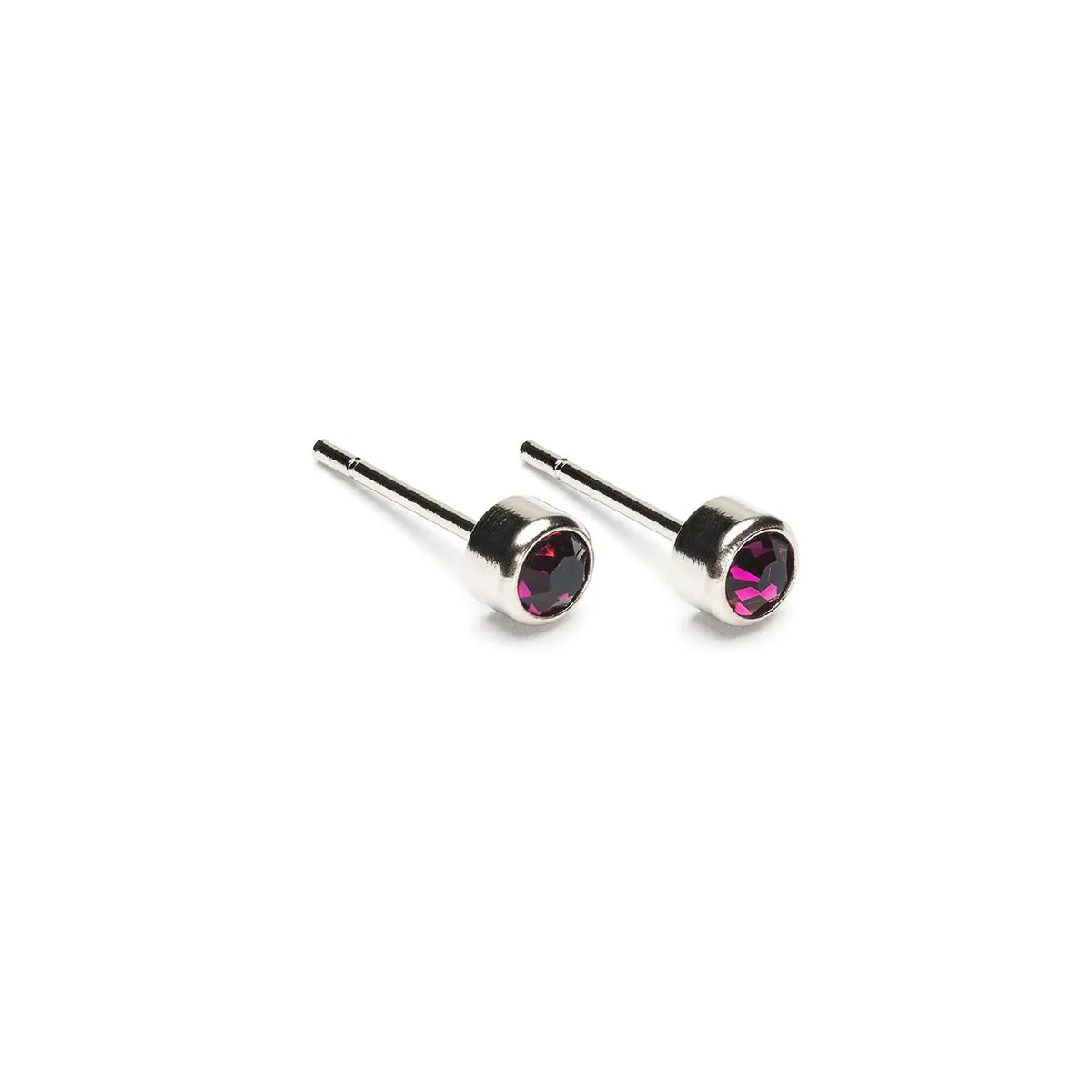 February Birthstone Stainless Steel Earrings