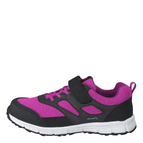 Rask Fuchsia